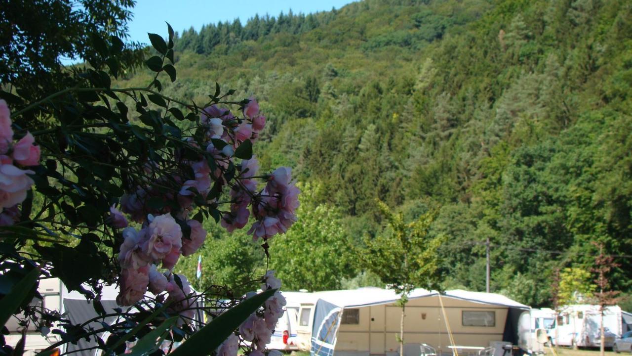 Camping Wies-Neu Dillingen Exteriör bild